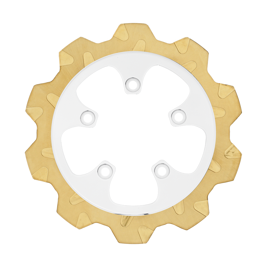 V-Rod Rear Rotor