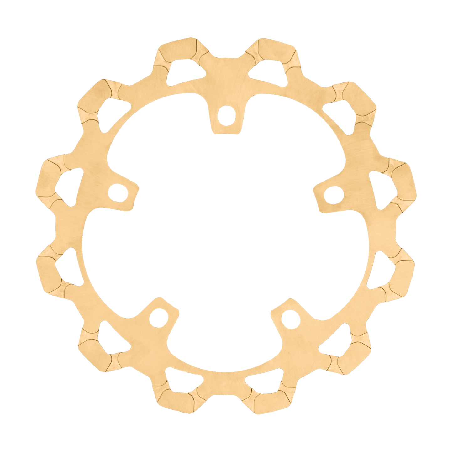 Pan America One Piece Front Rotor